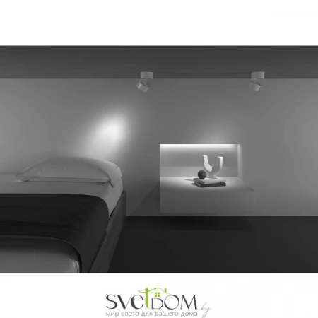 Потолочные светильники Maytoni C084CL-15W4K-W от Магазина Svetdom.by