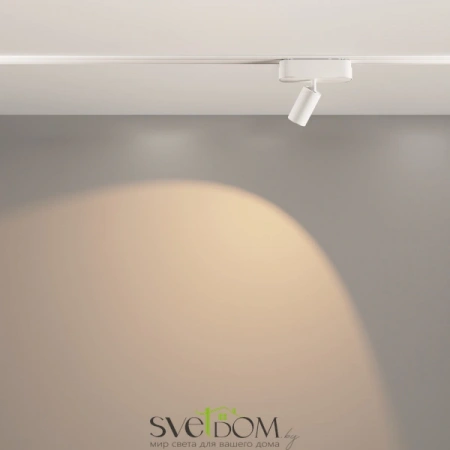 TR103-1-5W3K-M-W Maytoni