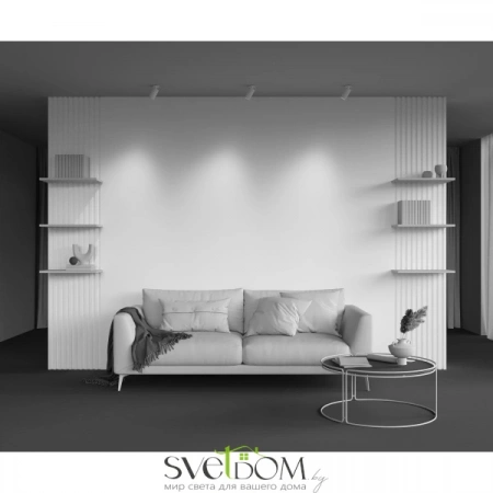 Встраиваемые светильники Maytoni C110CL-01-GU10-W от Магазина Svetdom.by