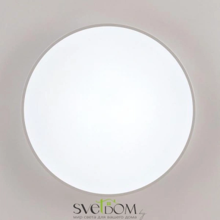 Потолочные светильники CITILUX CL72495G0 от Магазина Svetdom.by