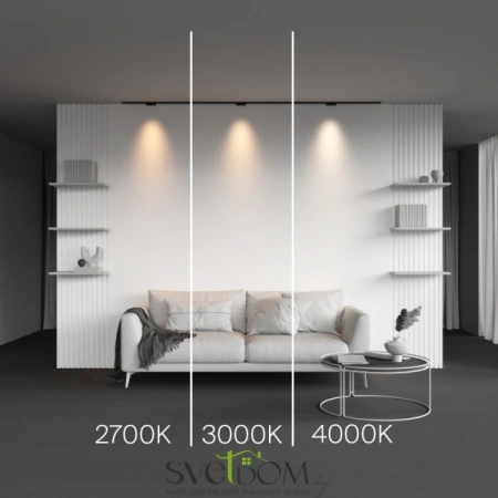 TR193-1-5W3K-M-B Maytoni