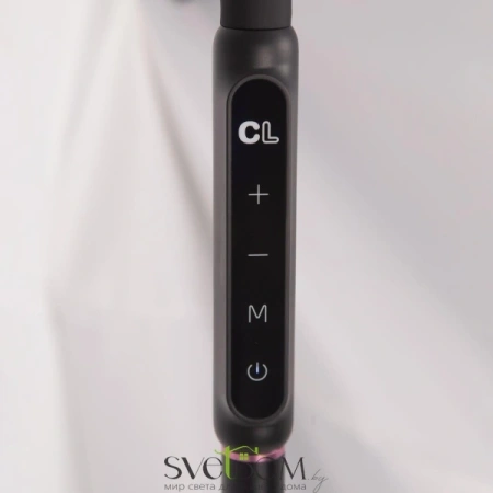 Citilux Марк CL804021 Торшер гибкий светодиодный Чёрный CITILUX