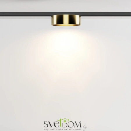 TR189-1-12W3K-BBS Maytoni