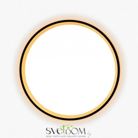 Накладные светильники CITILUX CL750241 от Магазина Svetdom.by