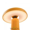 Аккумуляторный светильник Freya FR6109TL-L4OR Freya