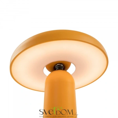 Аккумуляторный светильник Freya FR6109TL-L4OR Freya