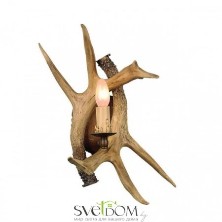 Настенные светильники OML-52001-01 Omnilux | Svetdom.by