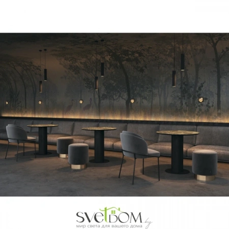 Подвесные светильники Maytoni P038PL-01B от Магазина Svetdom.by