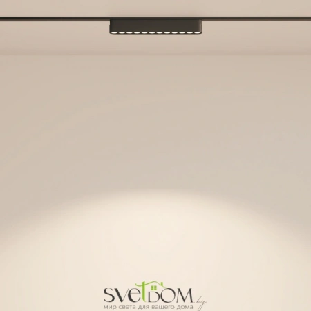 TR082-1-12W4K-M-B Maytoni