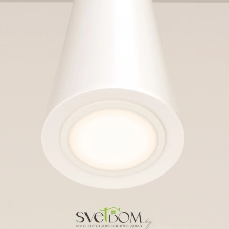 Подвесные светильники Maytoni P318-PL-01-W от Магазина Svetdom.by