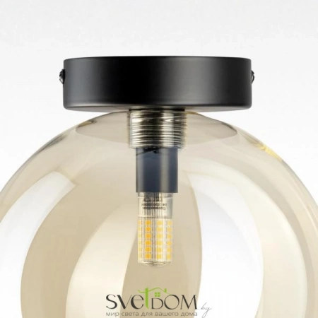 Накладные светильники CITILUX CL202512 от Магазина Svetdom.by