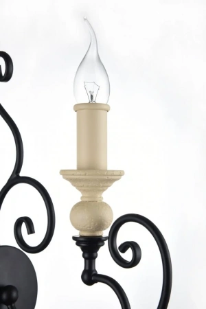 Настенные светильники H631-WL-01-B Maytoni | Svetdom.by