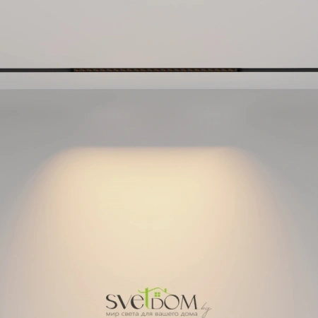 TR031-2-24W2.7K-B Maytoni