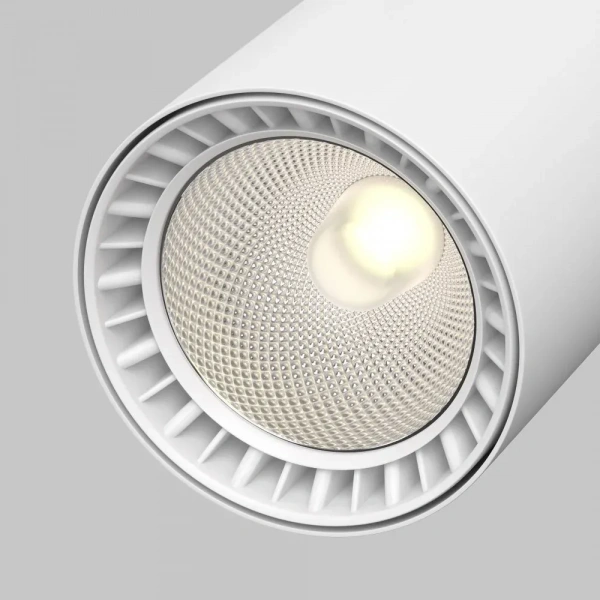 Трековый светильник TR029-3-10W3K-W-W