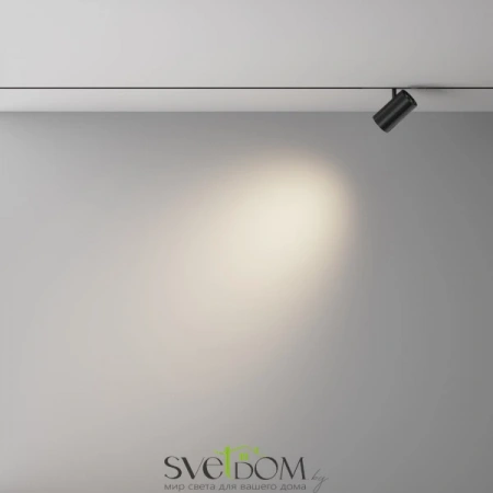 TR243-12W4K-B Maytoni