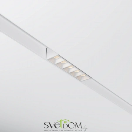 TR076-2-10W4K-W Maytoni