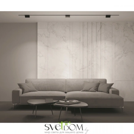 TR013-2-10W3K-B Maytoni