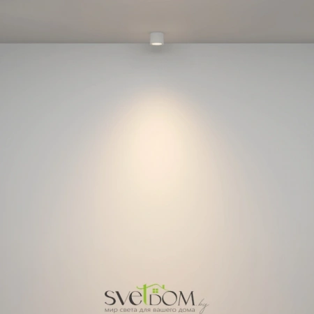 Потолочные светильники Maytoni C095CL-GX53-W от Магазина Svetdom.by