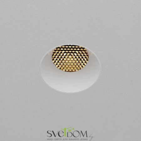 Встраиваемые светильники Maytoni DL121-15W-2.7K-TRS-W от Магазина Svetdom.by