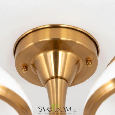 Люстры потолочныеCL401153 CITILUX | Svetdom.by