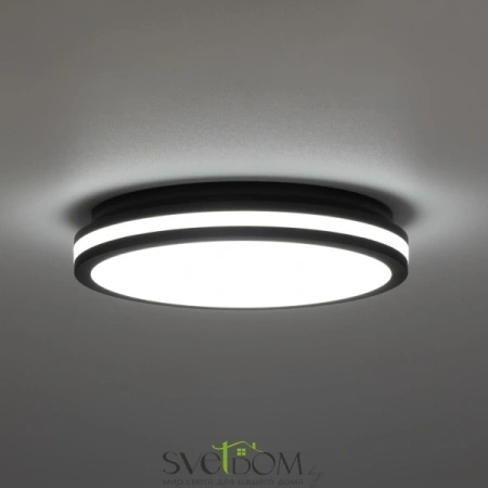 Citilux LUNS CL711021V LED Светильник влагозащищённый Чёрный CITILUX