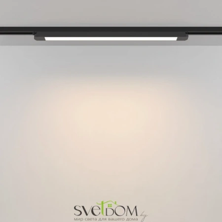 TR000-1-24W3K-B_1 Maytoni