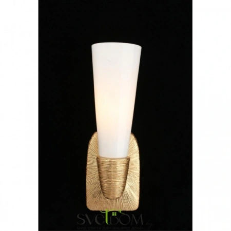 Настенные светильники APL.800.01.01 Aployt | Svetdom.by