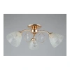 Люстра потолочная Omnilux  OML-29007-03 Omnilux