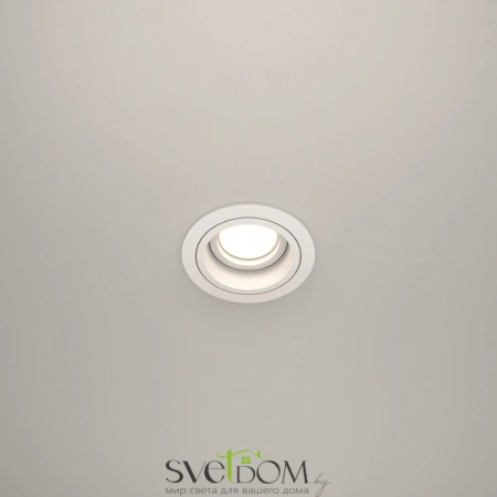 Встраиваемые светильники Maytoni DL025-2-01W от Магазина Svetdom.by