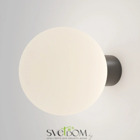 Настенные светильники O598WL-01B1 Maytoni | Svetdom.by