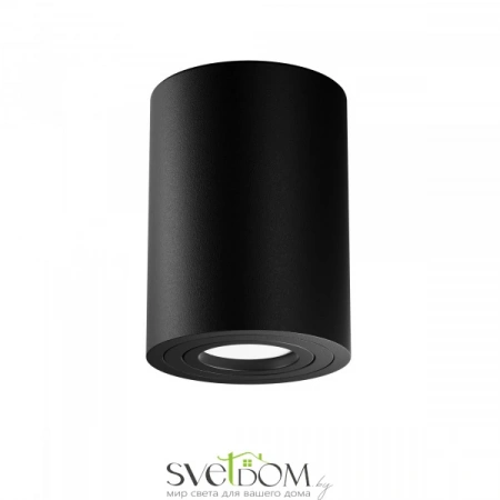 Потолочные светильники Maytoni C016CL-01B от Магазина Svetdom.by