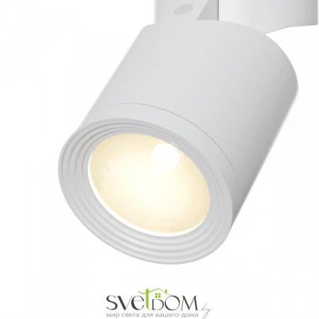 Светильники Maytoni C019CW-01W от Магазина Svetdom.by