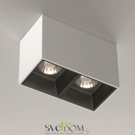 Потолочные светильники Maytoni C065CL-02-L12W4K-W от Магазина Svetdom.by