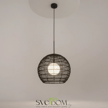 Подвесные светильники Maytoni MOD204PL-01B от Магазина Svetdom.by