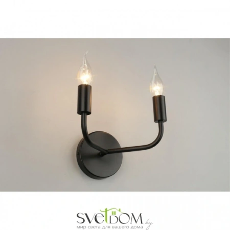 Настенные светильники APL.338.11.02 Aployt | Svetdom.by