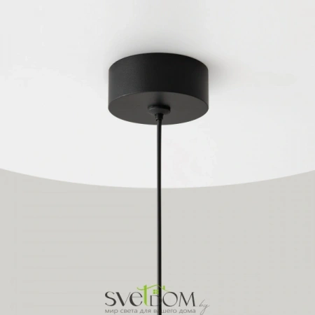 Подвесные светильники Maytoni P088PL-GX53-B от Магазина Svetdom.by