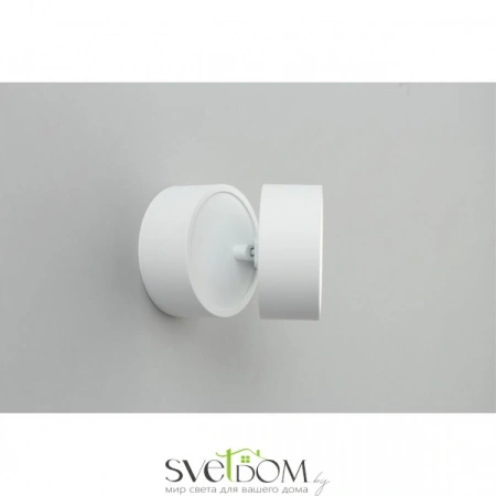 Накладные светильники Omnilux OML-101309-12 от Магазина Svetdom.by