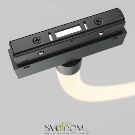 TR101-2-50W3K-B Maytoni