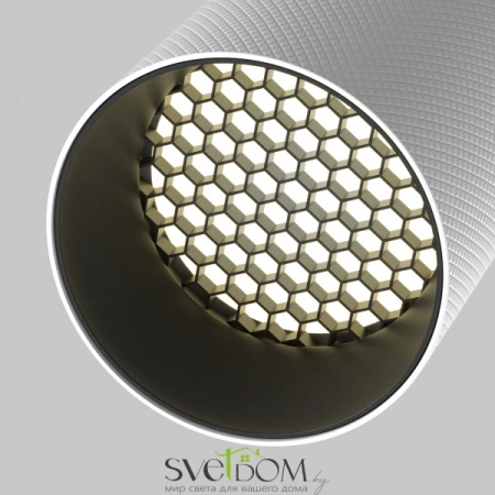 Встраиваемые светильники Maytoni C081CL-01-GU10-W от Магазина Svetdom.by