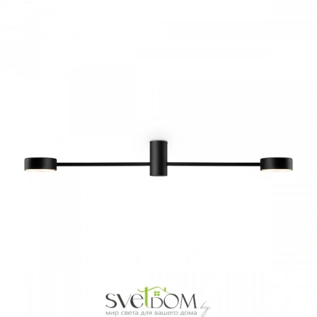 Потолочные светильники Freya FR5363CL-02B1 от Магазина Svetdom.by