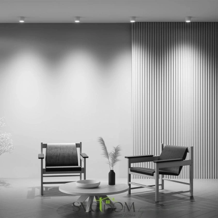 Потолочные светильники Maytoni C095CL-GX53-W от Магазина Svetdom.by