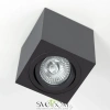 CL538213 CITILUX