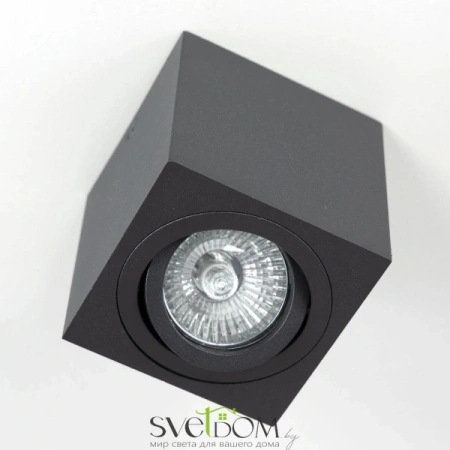 CL538213 CITILUX