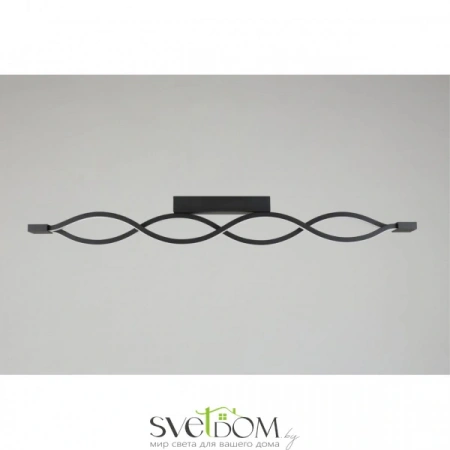 Настенно-потолочные светильники Aployt APL.002.12.36 от Магазина Svetdom.by