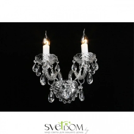 Настенные светильники APL.814.01.02 Aployt | Svetdom.by