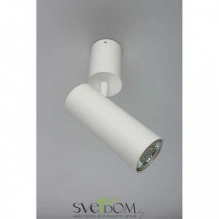 Настенно-потолочные светильники Aployt APL.007.02.01 от Магазина Svetdom.by