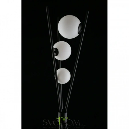 APL.348.05.03 Aployt