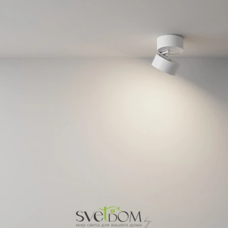 Потолочные светильники Maytoni C024CL-L12W4K от Магазина Svetdom.by