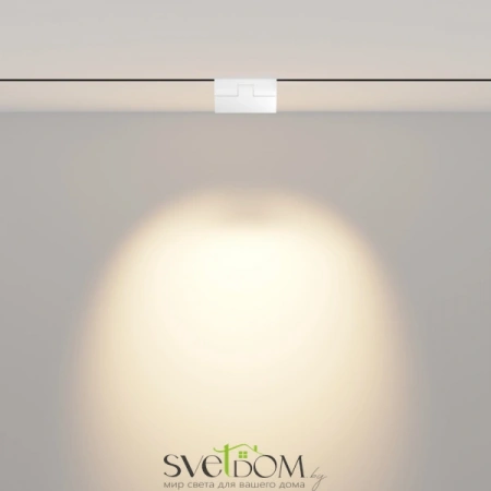 TR033-2-6W3K-W Maytoni