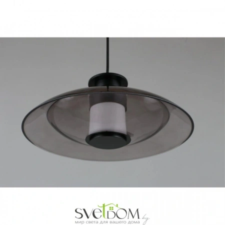 Подвесные светильники Aployt APL.648.06.10 от Магазина Svetdom.by